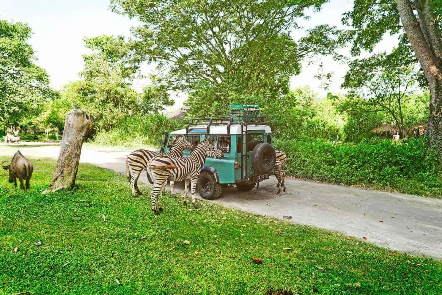 Private Car Charter Nusa Penida