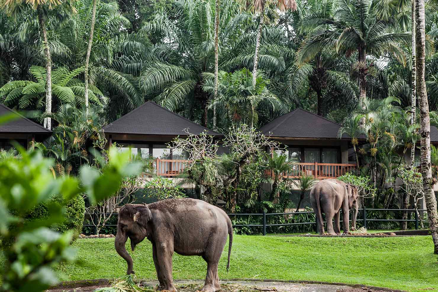 Royal Pita Maha Ubud