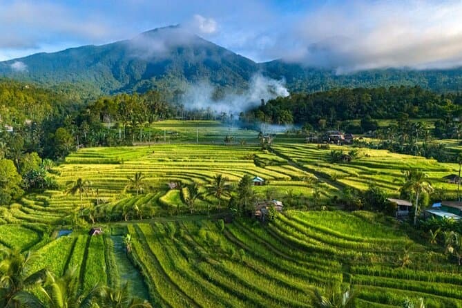 Bali Rice Terrace