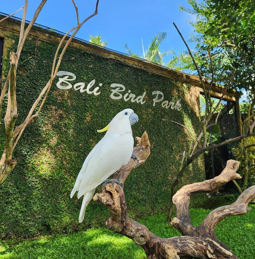Ubud Central Bali Tour
